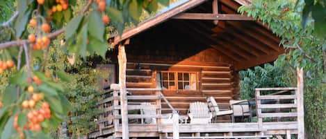 CABIN DURING CHERRY SEASON