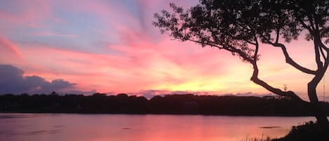 Sunset from the backyard
