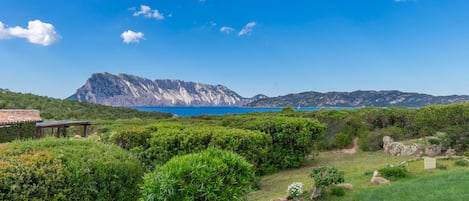 Overnatningsstedets område