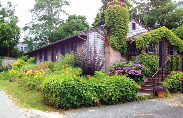 Street view and front garden with the large driveway on the right. 