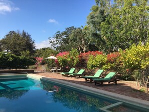 garden and pool