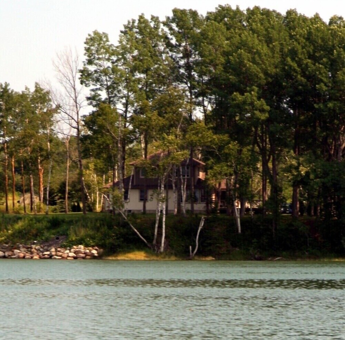 Main Image