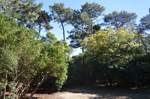 Boendeområde