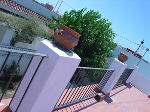 Terrace / Balcony