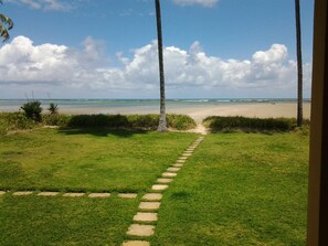 Vista panorâmica do terraço - maré baixa