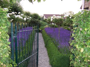 Jardines del alojamiento