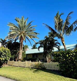 Sea Grape, Canary Island Date Palm, Christmas Palm and Coconut Palm
