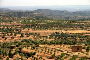 Vista montaña