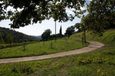 Ferienhaus / Villa - COLLOBRIERES