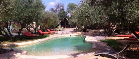 Piscine Chauffée à 28° Tte l'année, 
traitée au sel 