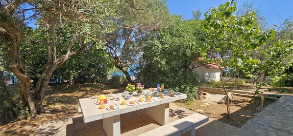 Garden area with dining table