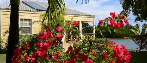 1-Bedroom Cottage on the lake with the Caribbean Sea beyond