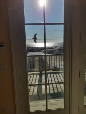 Dusk in Kitchen Sidelight