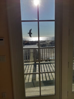 Dusk in Kitchen Sidelight