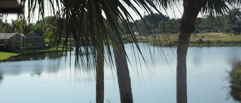 Lake view from window