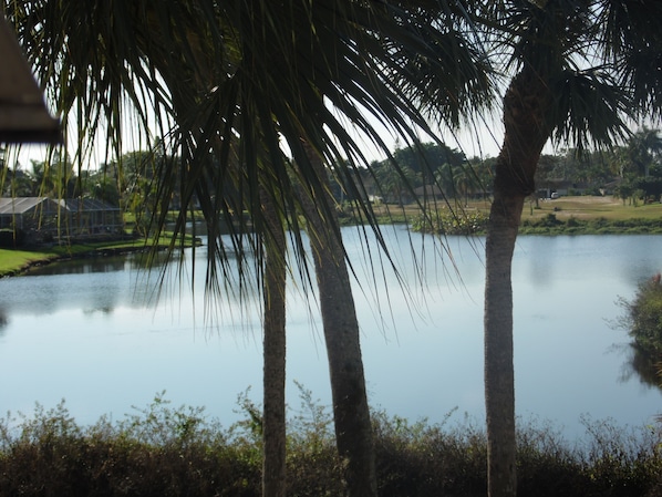 Lake view from window