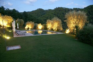 romantic flood lit salt water pool and garden