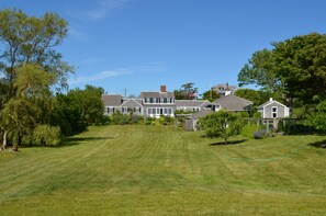 back yard