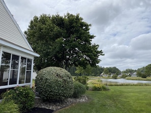 Gorgeous pond with walking trail 