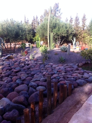 Le jardin avec rocailles et cactus..