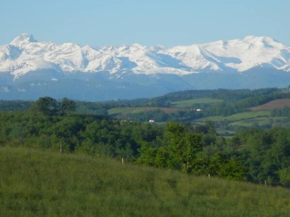 Blick aufs Gebirge