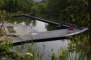 piscine vue de derrière la lagune