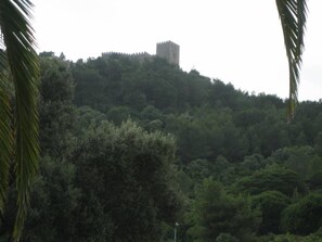 Castle