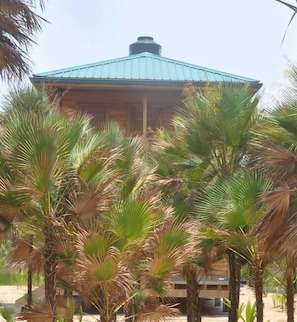 Beach Cabana - view from water looking back.