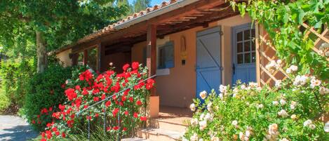 Sheltered terrace and entrance