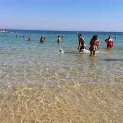 Strand