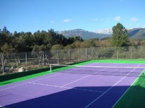 Sport court