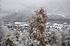 Vue du chalet