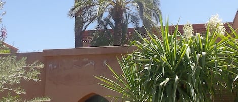 RIAD de charme dans la palmeraie de marrakech
