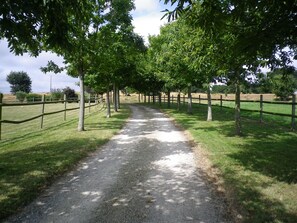 Property grounds