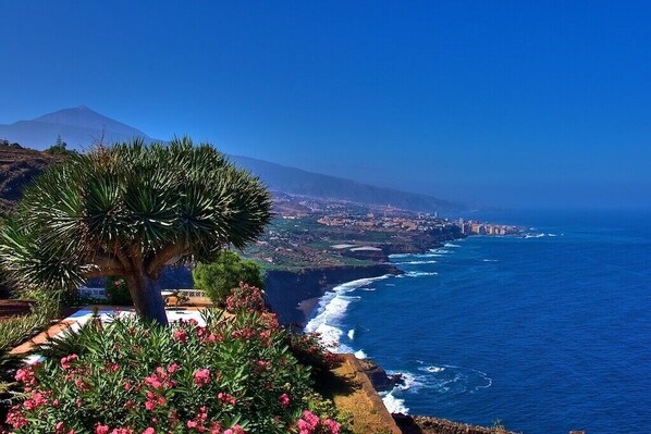 Your view of Teide and the coast