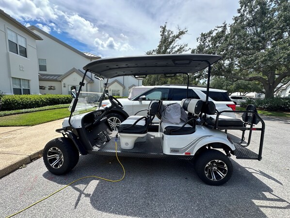 6 seater golf cart