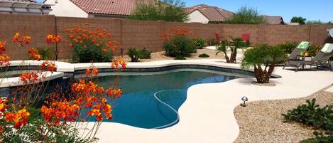 Spacious, and sunny, south facing backyard