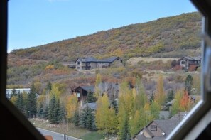 Mountain views from living area