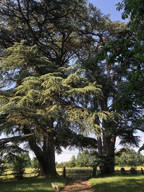 Jardines del alojamiento