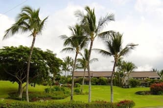 1BR/2BA Maui Kamaole/Wailea Border. K Cluster @ Tropical Pool!
