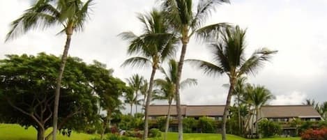 Maui Kamaole Complex carpeted in lush tropical plantings