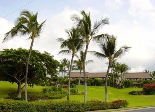 Maui Kamaole Complex carpeted in lush tropical plantings