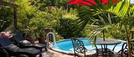 Private pool at secluded villa in nature