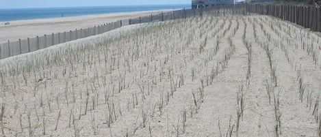 Spiaggia