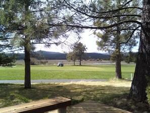 More Views from the patio deck