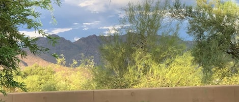 Beautiful McDowell Mountain views from the condo patio