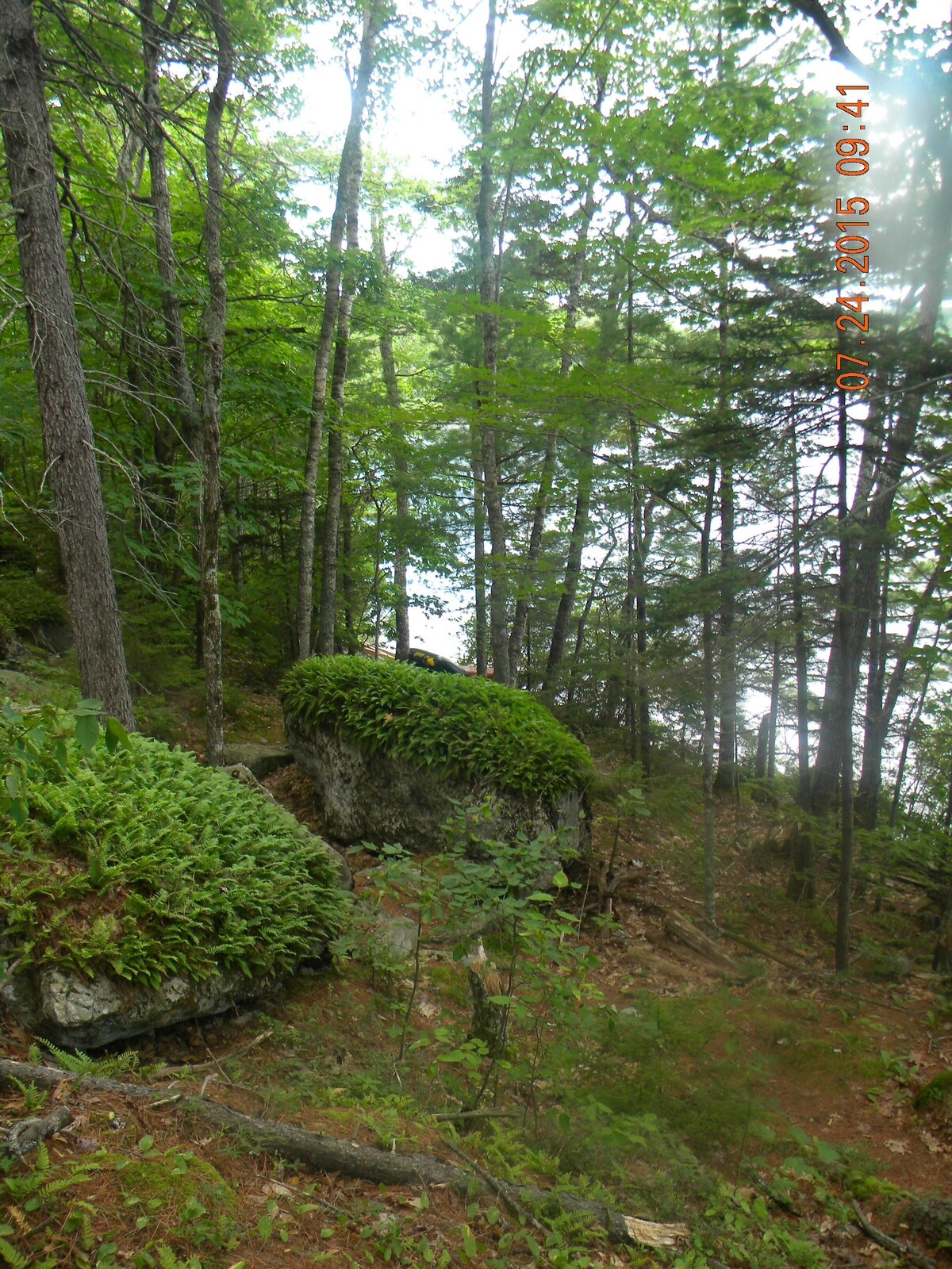 Main Image
