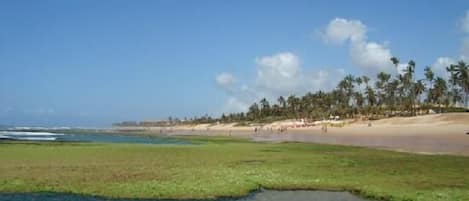 Piscinas naturais formadas em frente ao condomínio.