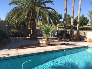 palms everywhere.....