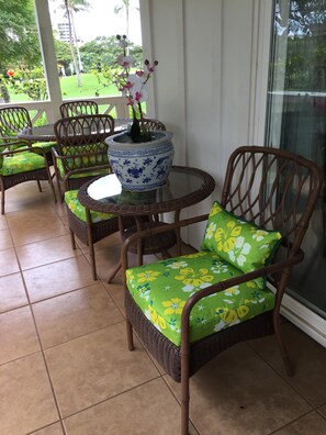 downstairs lanai with gas BBQ